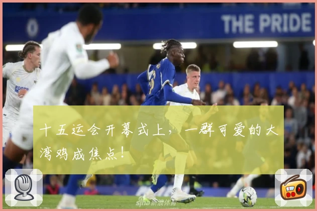 十五运会开幕式上,一群可爱的大湾鸡成焦点!