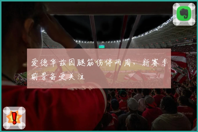 爱德华兹因腿筋伤停两周,新赛季前景备受关注