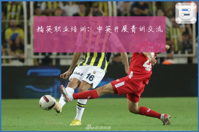 精英职业培训：中英开展青训交流