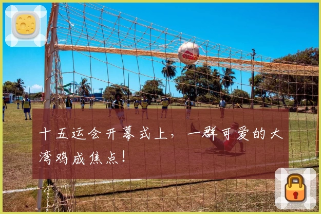 十五运会开幕式上，一群可爱的大湾鸡成焦点！