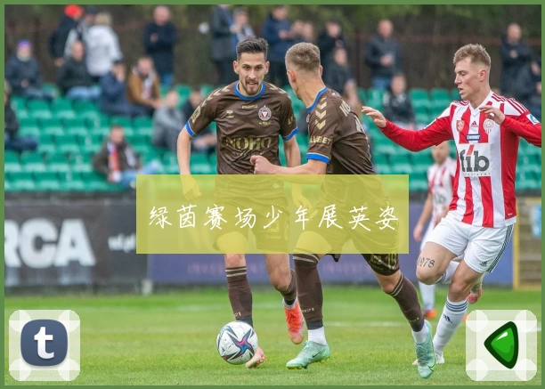 绿茵赛场少年展英姿